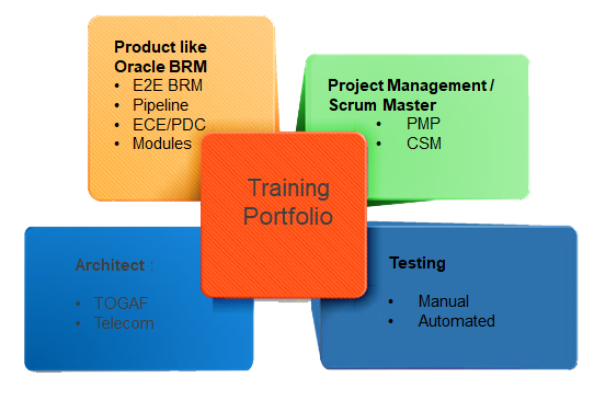 IMI-Corporate-training-Portfolio